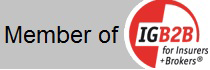 Member of IGB2B